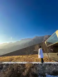 美術館驚現泡泡瑪特