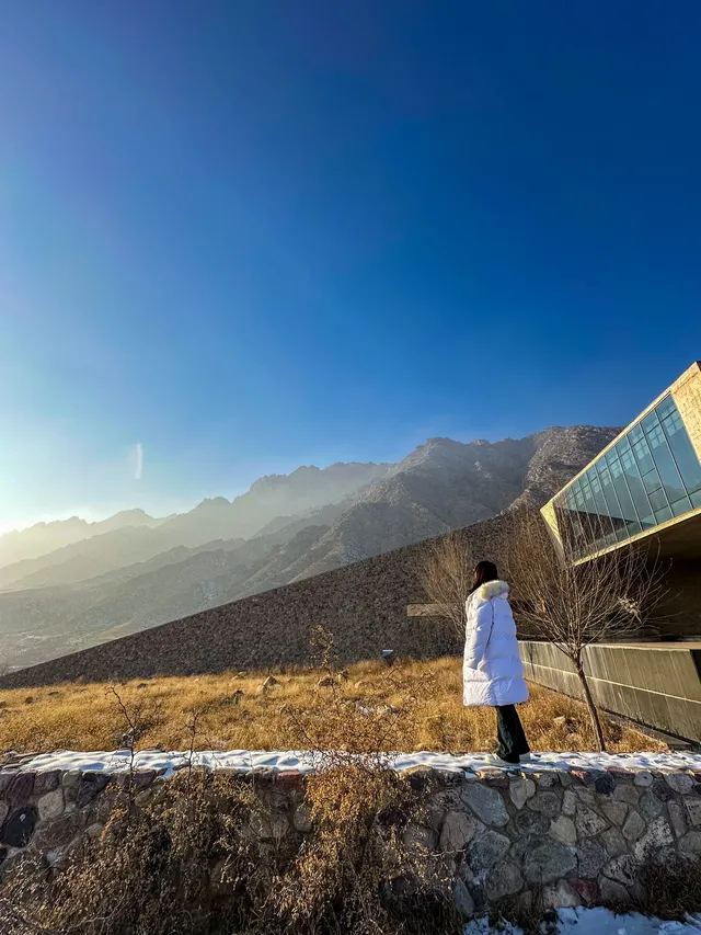 美術館驚現泡泡瑪特 美術館驚現泡泡瑪特