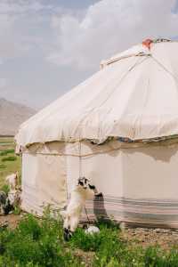 七天,從喀什古城的黃昏到慕士塔格的雪線