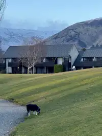 新西蘭南島一些漂亮的人生酒店民宿