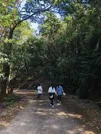 每週一山｜藏在江門的治癒系神山！