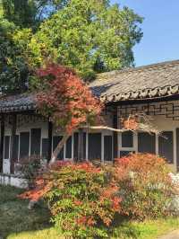 海寧觀潮勝地公園 | 深秋的詩意畫卷