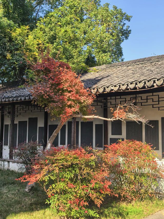 海寧觀潮勝地公園 | 深秋的詩意畫卷 海寧觀潮勝地公園 | 深秋的詩意畫卷