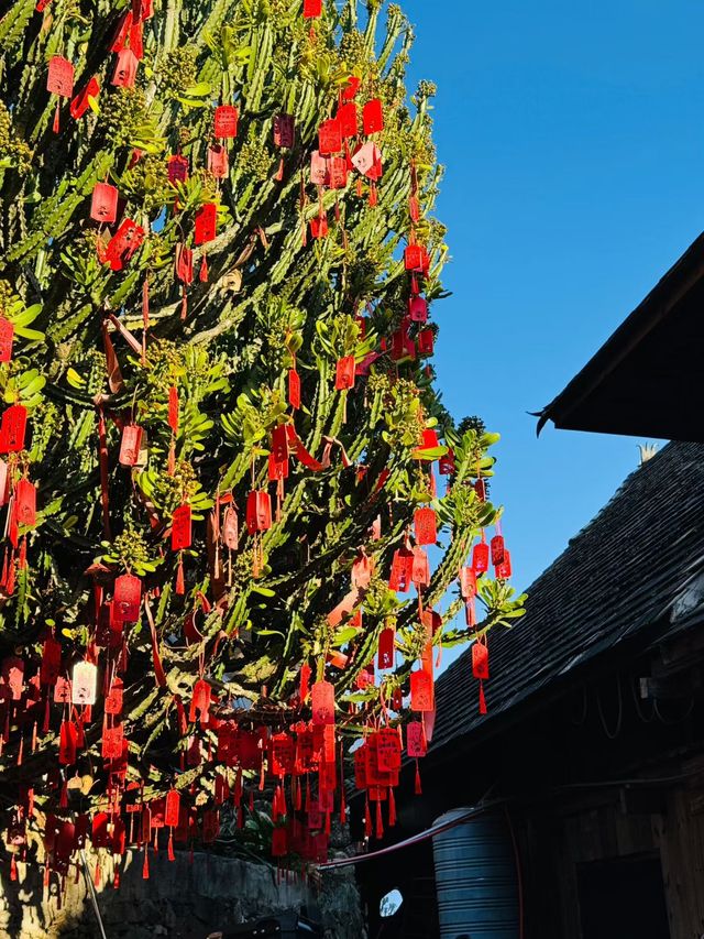 芒景景區 芒景景區