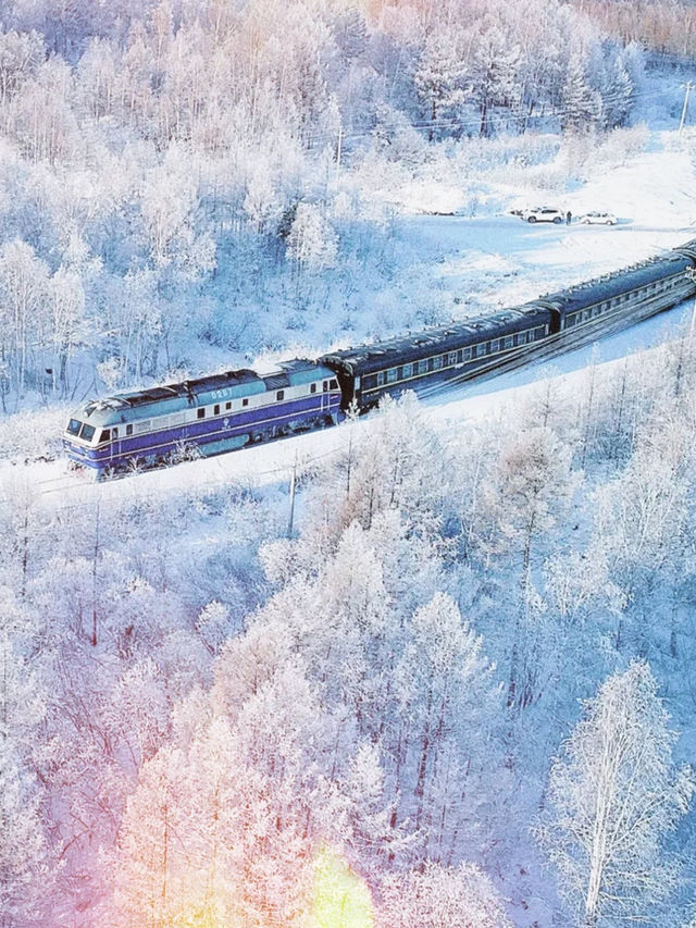 冬天去長白山-哈爾濱-漠河北極村絕了