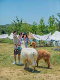 天目湖涵田，全家嗨玩不挪窩！