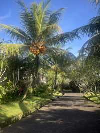 Ideal Bali Stay for First-Timers