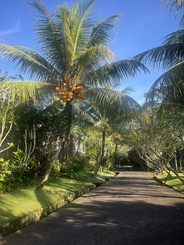 Ideal Bali Stay for First-Timers