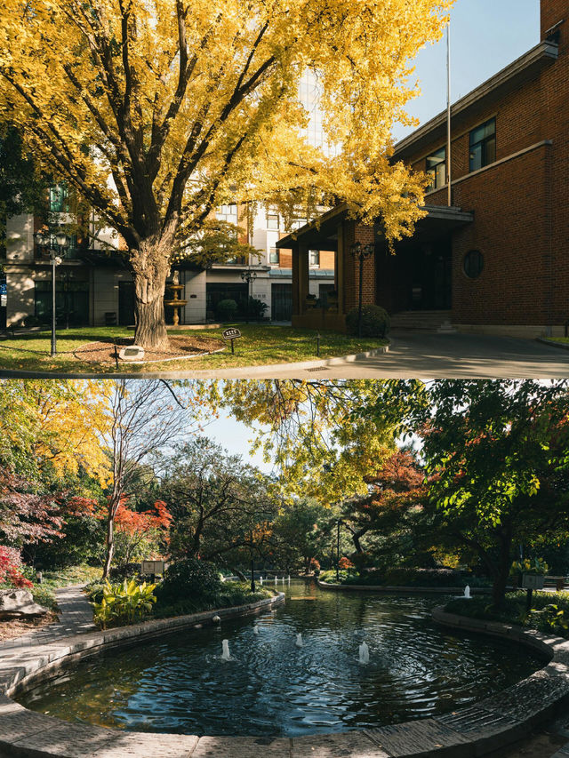 清晨8點,我拍到了樹的呼吸聲! 清晨8點,我拍到了樹的呼吸聲!