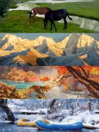 川西包車越野車VS商務車對比來啦~