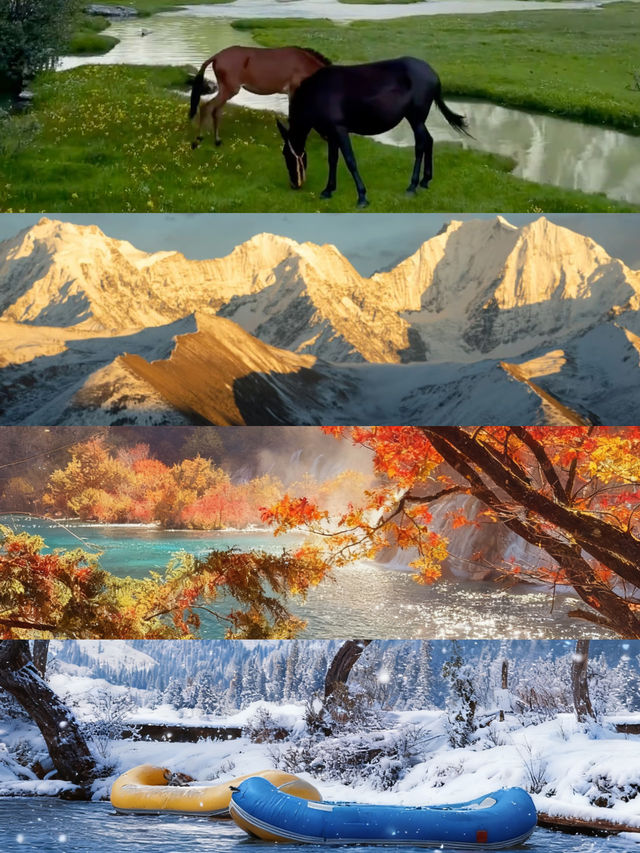 川西包車越野車VS商務車對比來啦~