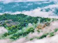 古茶聖地景邁山