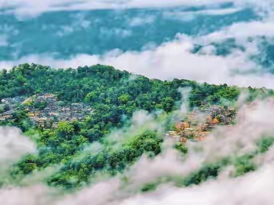 古茶聖地景邁山