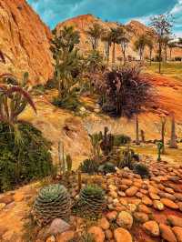 真不是國外 雲南建水竟然藏了個·小加州