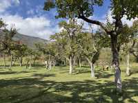 會澤:把山河與煙火,都裝在旅途的幀裡