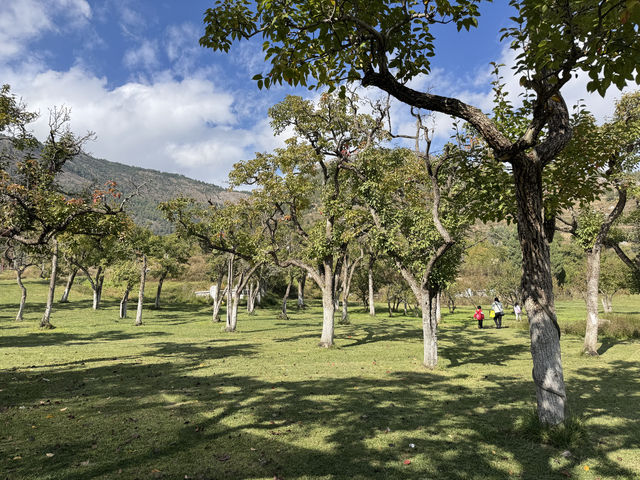 會澤:把山河與煙火,都裝在旅途的幀裡 會澤:把山河與煙火,都裝在旅途的幀裡