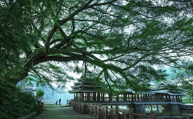 「打工人寒假救星!4個冷門神仙小城,高鐵3h直達!12-1月 「打工人寒假救星!4個冷門神仙小城,高鐵3h直達!12-1月