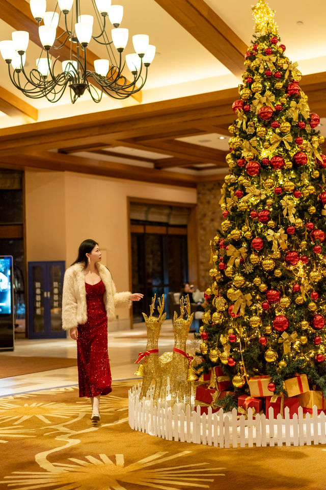 這個冬天夢幻的聖誕儀式感,被我狠狠拿捏了 這個冬天夢幻的聖誕儀式感,被我狠狠拿捏了