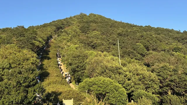 偶遇梧桐日落 偶遇梧桐日落