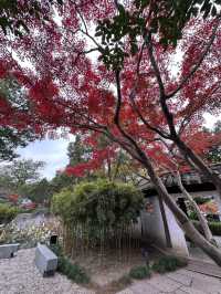 浙江紹興沈園見證千年的浪漫與悲歡