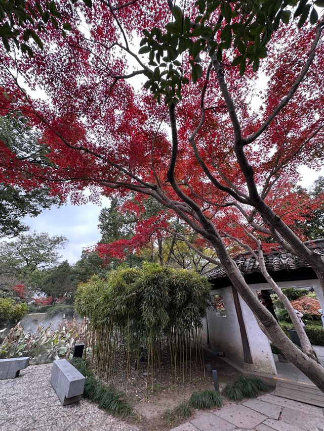 浙江紹興沈園見證千年的浪漫與悲歡 浙江紹興沈園見證千年的浪漫與悲歡