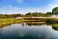 青西郊野公園暴走一天，這裡根本不是普通公園，是藏在城市邊緣的「天然氧吧+童話秘境」，秋冬來剛好！ 