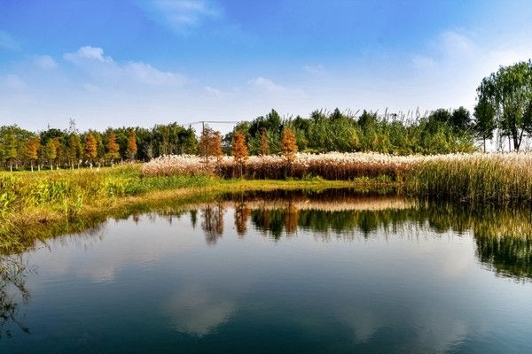 青西郊野公園暴走一天，這裡根本不是普通公園，是藏在城市邊緣的「天然氧吧+童話秘境」，秋冬來剛好！ 