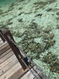 馬來西亞的隱世海島馬達京島也太絕了吧！這個小眾天堂不僅有果凍海、白沙灘，還有超震撼的珊瑚群，簡直是