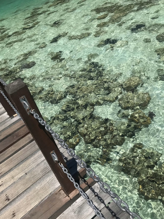 馬來西亞的隱世海島馬達京島也太絕了吧！這個小眾天堂不僅有果凍海、白沙灘，還有超震撼的珊瑚群，簡直是