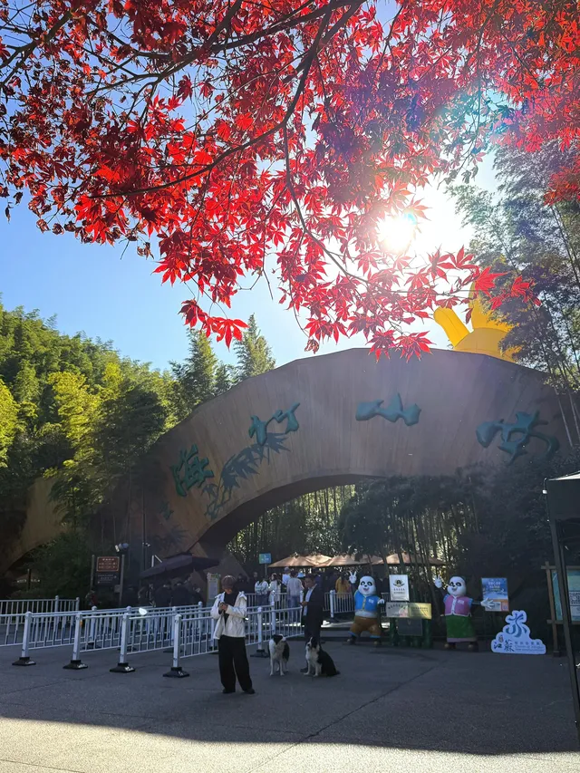 南山竹海一日遊|住進竹林裡的美學民宿 南山竹海一日遊|住進竹林裡的美學民宿