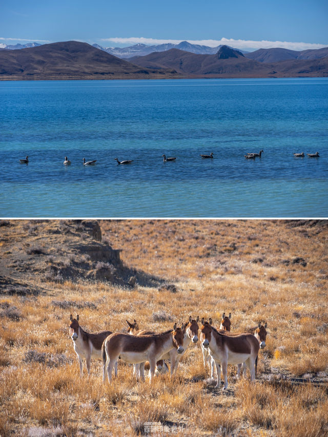 冬天也能走的高原徒步路線,在「藏源」山南 冬天也能走的高原徒步路線,在「藏源」山南