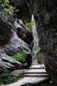 武夷山巖骨花香漫遊道:冬日裡的寧靜之旅