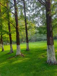 濟南寶藏免費景點!五龍潭公園遊玩全攻略