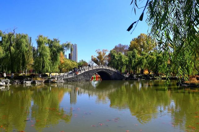 藏在城芯湟水畔，人文與自然的共生秘境