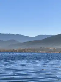 被瀘沽湖美鼠！12.4實拍！