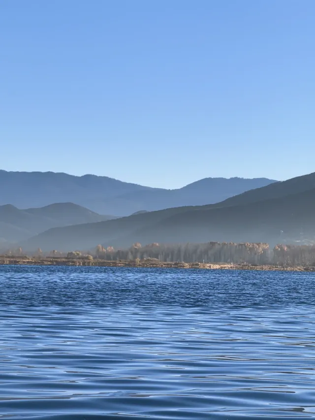 被瀘沽湖美鼠！12.4實拍！