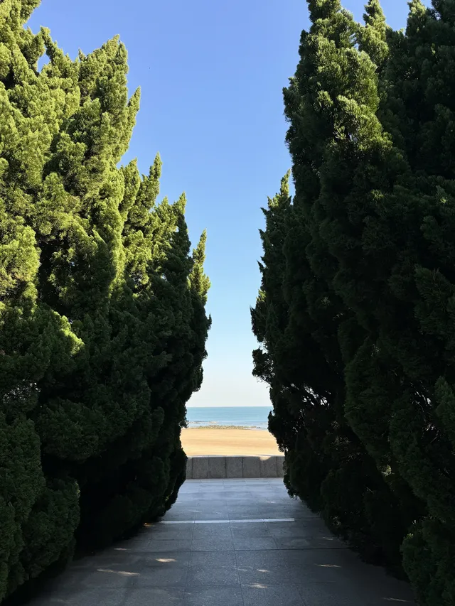 漫步青島|分享超美的一日sea walk路線 漫步青島|分享超美的一日sea walk路線