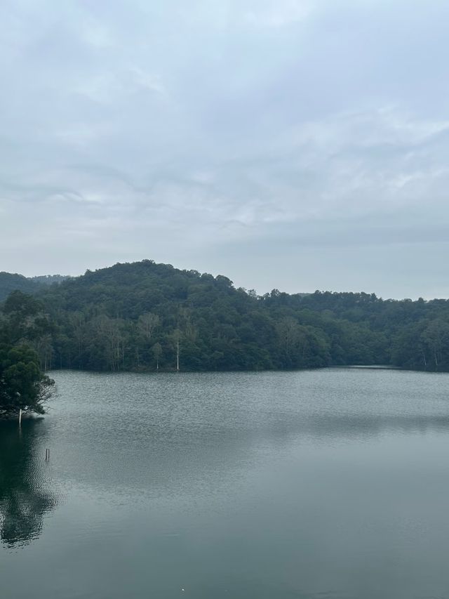 江門隱秘美景森林湖 江門隱秘美景森林湖