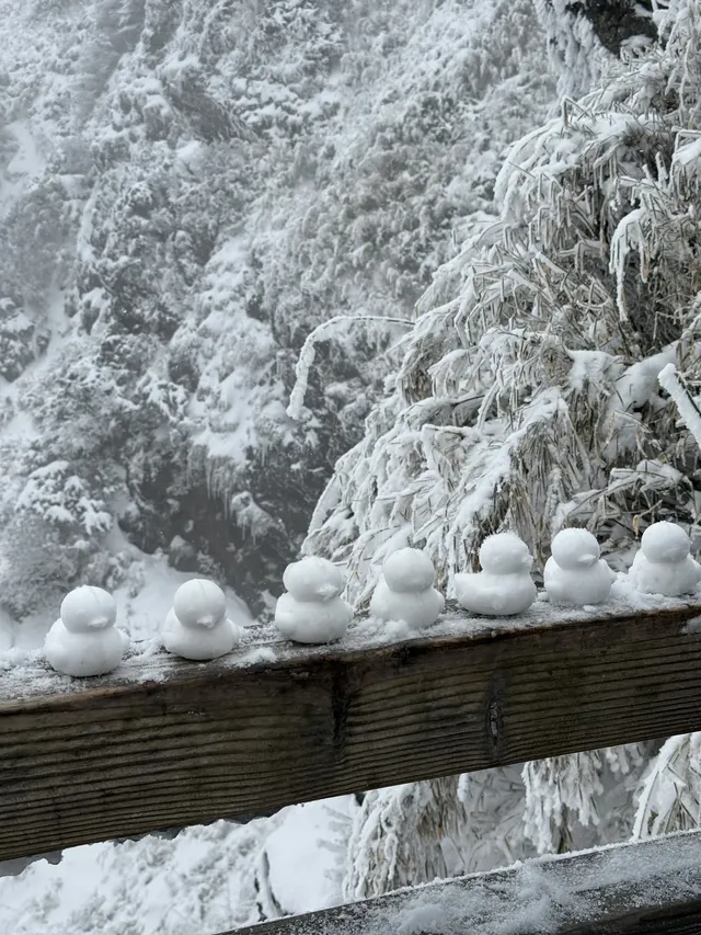 神農架冬日童話|闖入南國最純淨的雪國 神農架冬日童話|闖入南國最純淨的雪國