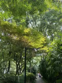 半山崖線鵝嶺棧道鵝嶺公園一站遊玩攻略