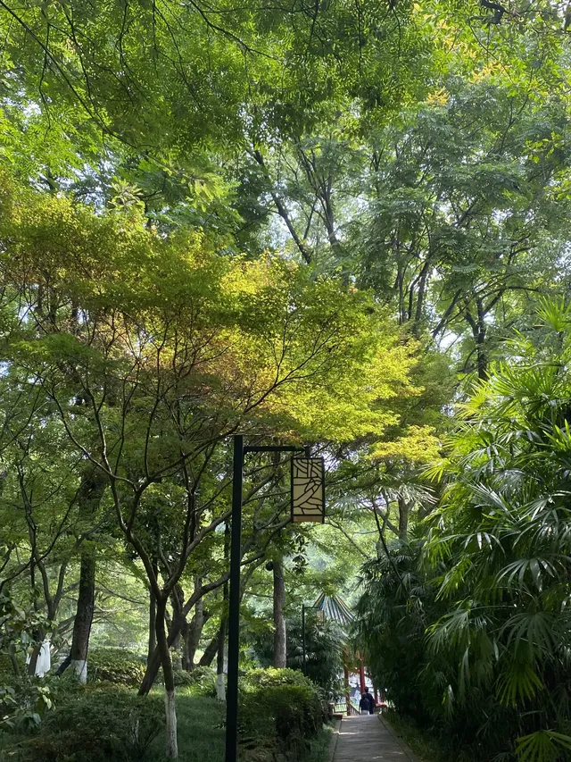 半山崖線鵝嶺棧道鵝嶺公園一站遊玩攻略