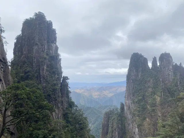 暖冬裡遊覽東江湖和莽山 暖冬裡遊覽東江湖和莽山