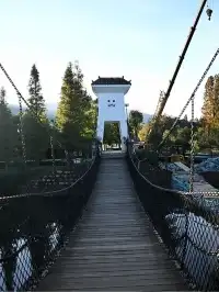 冬遊民族村｜1場大秀+NPC任務，觀鷗季值哭了