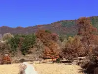 宏村→塔川一日遊