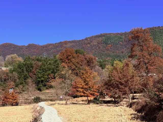宏村→塔川一日遊