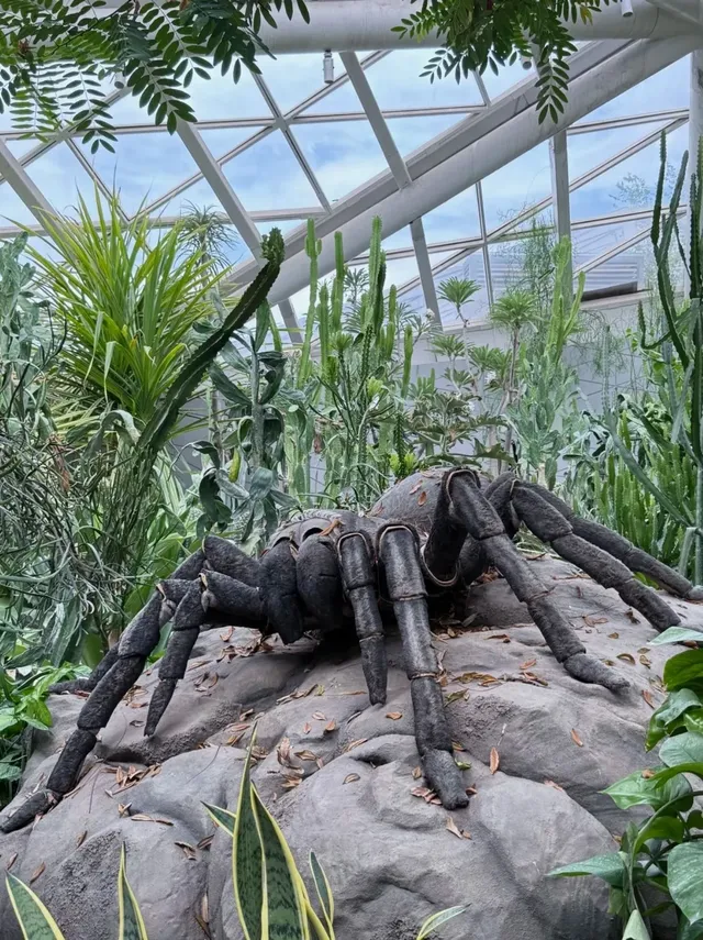 西安世博園保姆級遊覽攻略 西安世博園保姆級遊覽攻略