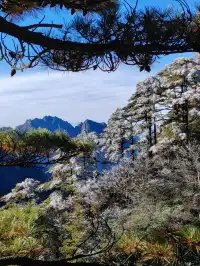 黃山2天|北上南下不費腿