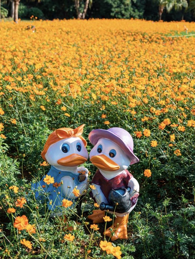 深圳0元打卡:黃秋英花海+萌系雕塑太出片 深圳0元打卡:黃秋英花海+萌系雕塑太出片