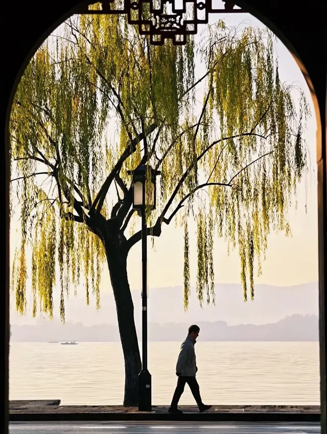 杭州紅楓反向線|3h拍爆西湖秋景~ 杭州紅楓反向線|3h拍爆西湖秋景~