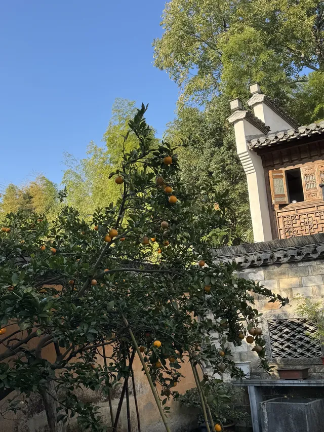 黔縣上谷堂−用另一種方式打開黃山之旅 黔縣上谷堂−用另一種方式打開黃山之旅